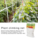 Plant Trellis Netting Polyester Plant Support Vine Climbing Hydroponics Garden Net