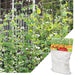 Plant Trellis Netting Polyester Plant Support Vine Climbing Hydroponics Garden Net