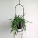 Iron Hanging Flower Decorative Swinging Flower Basket Wall Hanging Flower Pot