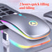 LED Backlit Rechargeable Wireless Silent Mouse USB Ergonomic Optical Gaming Mouse