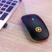LED Backlit Rechargeable Wireless Silent Mouse USB Ergonomic Optical Gaming Mouse