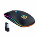 LED Backlit Rechargeable Wireless Silent Mouse USB Ergonomic Optical Gaming Mouse