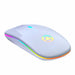 LED Backlit Rechargeable Wireless Silent Mouse USB Ergonomic Optical Gaming Mouse