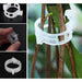 50/100pcs Reusable Plastic Plant Clips Supports Grafting Garden Tools