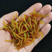 20PCS-100pcs Lifelike Red Worm Soft Lure Earthworm Fishing Silicone Artificial Bait