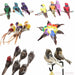 Artificial Birds Foam Animal Models Wedding Home Garden Decoration