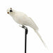 Artificial Birds Foam Animal Models Wedding Home Garden Decoration