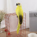 Artificial Birds Foam Animal Models Wedding Home Garden Decoration