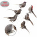 Artificial Birds Foam Animal Models Wedding Home Garden Decoration