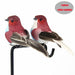Artificial Birds Foam Animal Models Wedding Home Garden Decoration