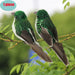 Artificial Birds Foam Animal Models Wedding Home Garden Decoration
