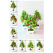 Artificial Plants Potted Bonsai Fake Plant Room Decor Home Garden Decoration