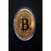 1pc Gold Plated Bitcoin Art Collection Physical Bit BTC Metal Antique Imitation
