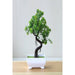 Artificial Plants Potted Bonsai Fake Plant Room Decor Home Garden Decoration