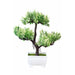 Artificial Plants Potted Bonsai Fake Plant Room Decor Home Garden Decoration