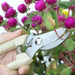 Garden Scissors Pruning Shears Secateurs Gardening Tools - Atom Oracle